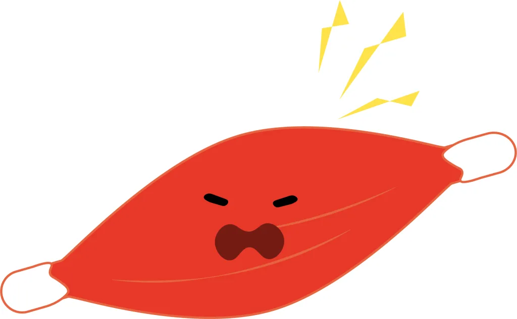 筋肉のイラスト