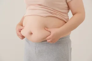お腹の脂肪